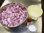 写真：八重桜・桜花1kg