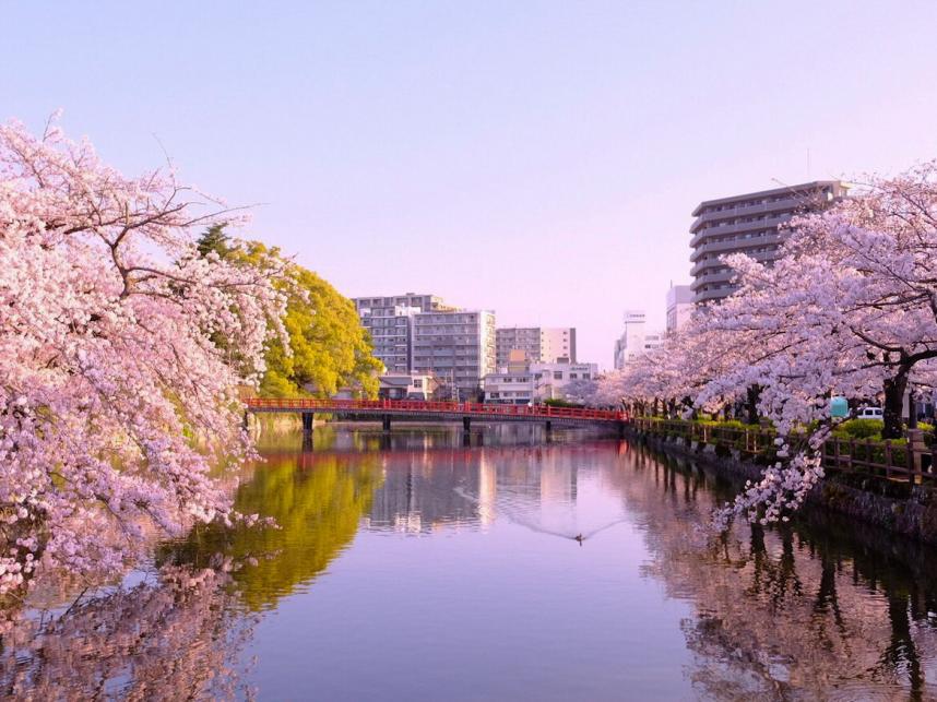 odawara