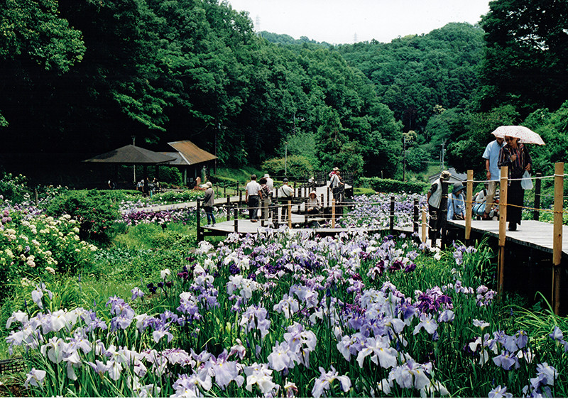 せせらぎ公園