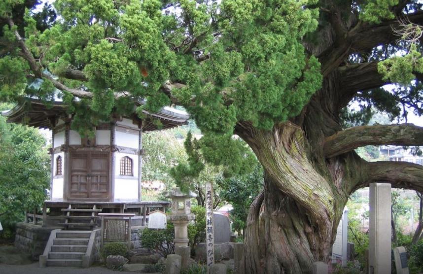 城願寺