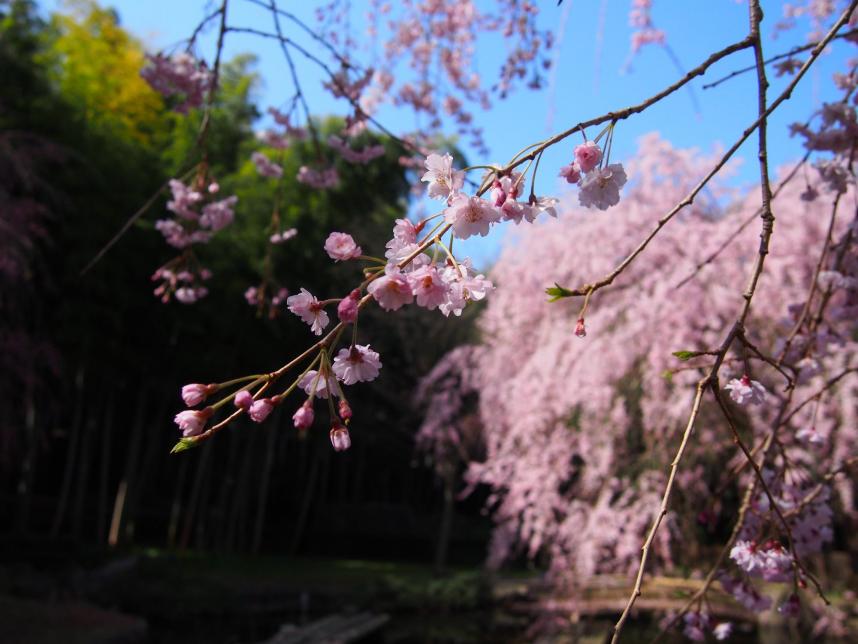 荒井福祉公園