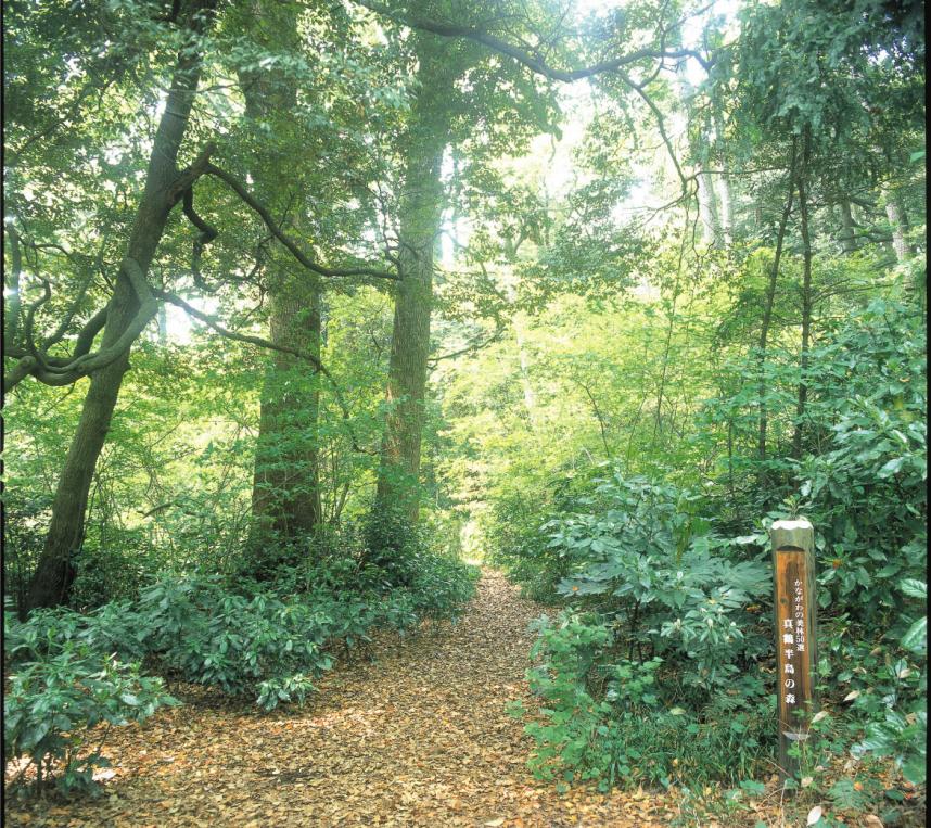 真鶴半島自然公園