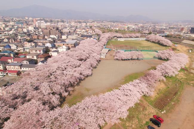 相模川三川合流点