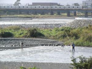 酒匂川アユ釣り