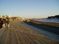 竹ず柵設置直後写真