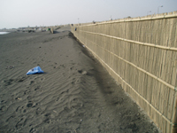 竹ず柵堆積砂写真