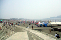 片瀬東浜海水浴場の写真