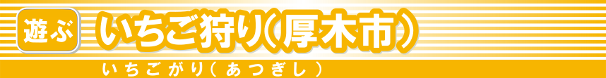 いちご狩り（厚木市）