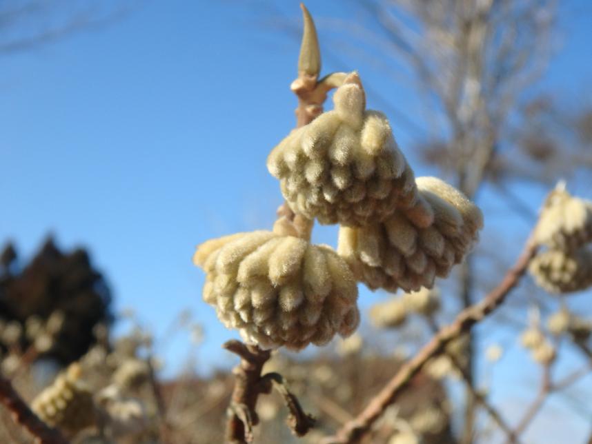 2月22日大野山山頂