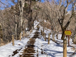 230226鍋割山山頂周辺