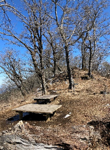 230228大室山西ノ肩