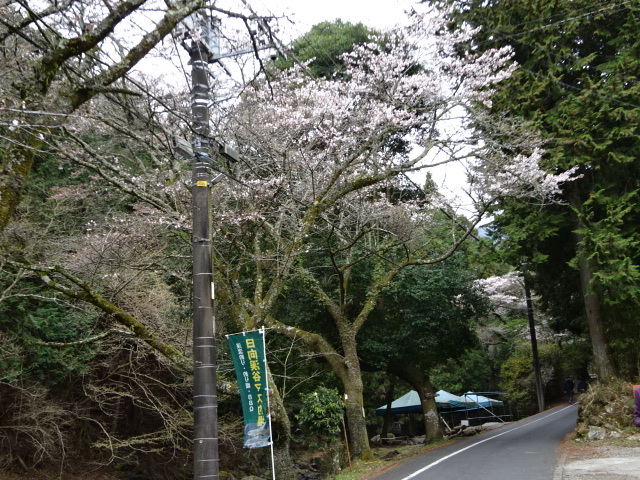 3月21日大山日向薬師側登山口