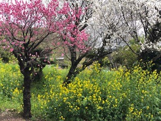 230402大山蓑毛バス停周辺