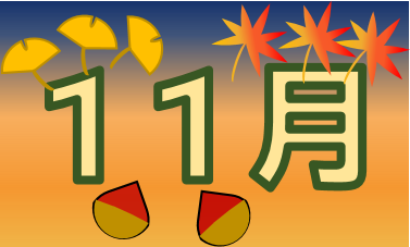 11月