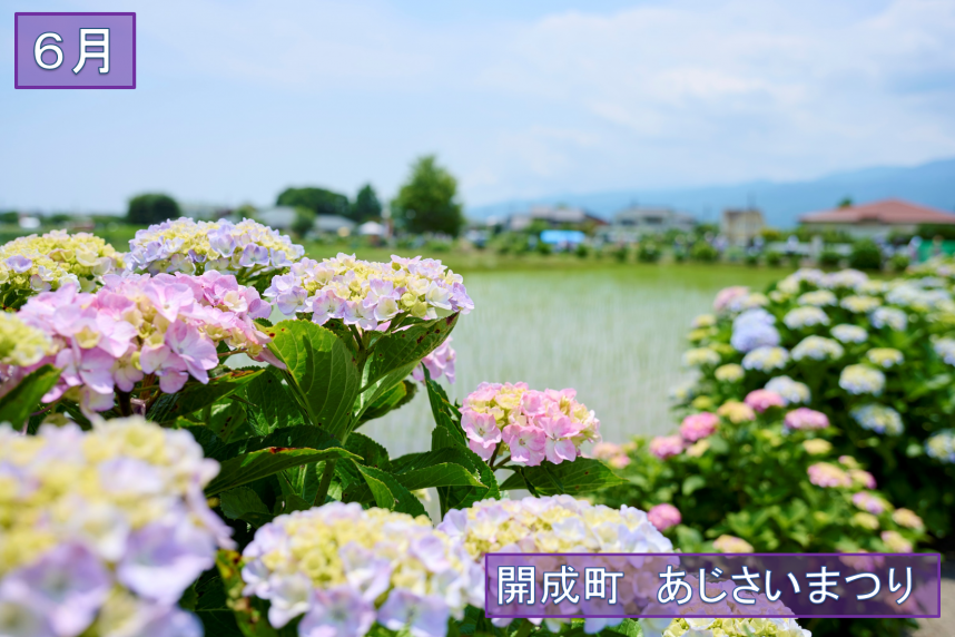 6月