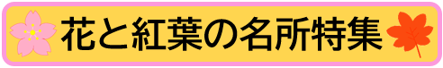 花と紅葉の名所特集