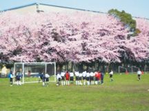 西湘スポーツセンター