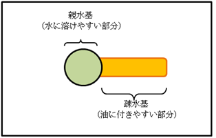 界面活性剤の分子構造