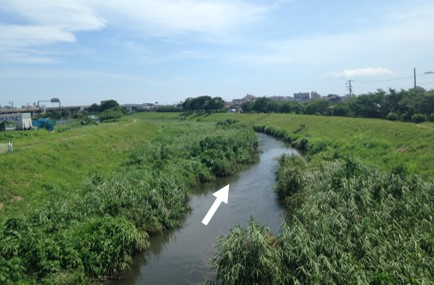 小出川の河道整備（茅ヶ崎市）