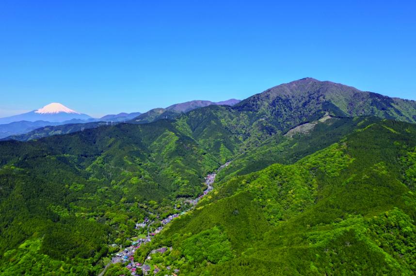 大山全景