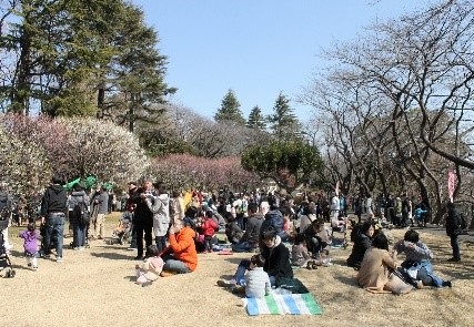 指定管理_保土ケ谷公園