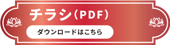 チラシ（PDF）