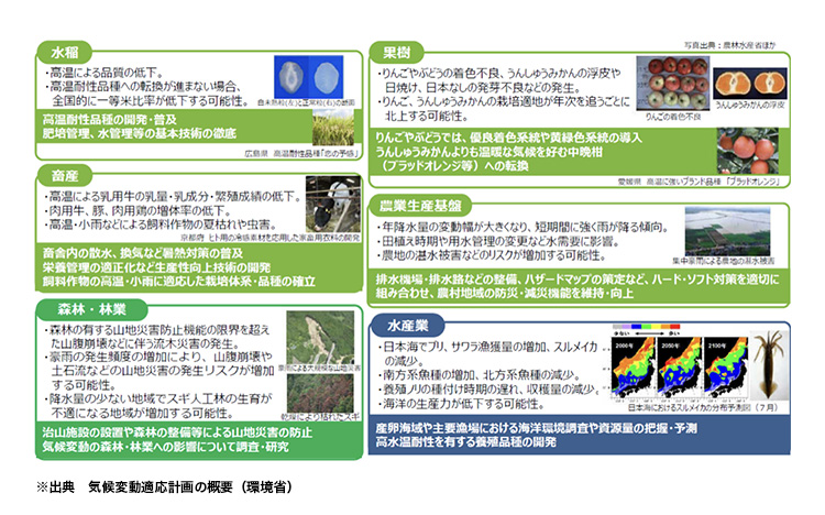 影響と適応策の事例【農林水産業】の図表