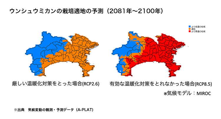 ウンシュウミカンの栽培適地の予測（2081年～2100年）の図表