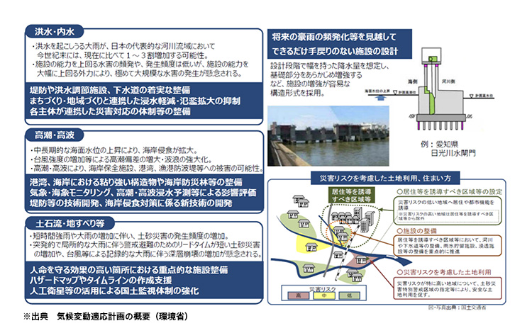 自然災害の影響と適応策の図表