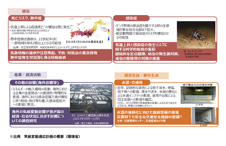 水・生態系への影響と適応策の図表