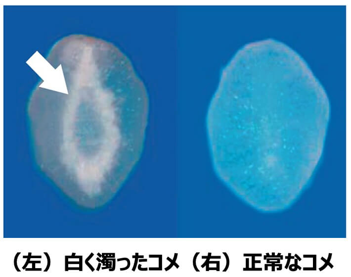 お米への影響は？