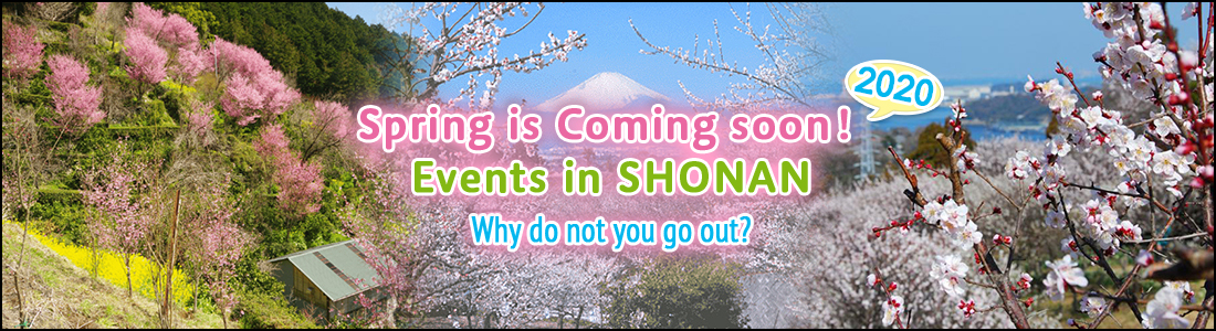 Summer SHONAN events 2019