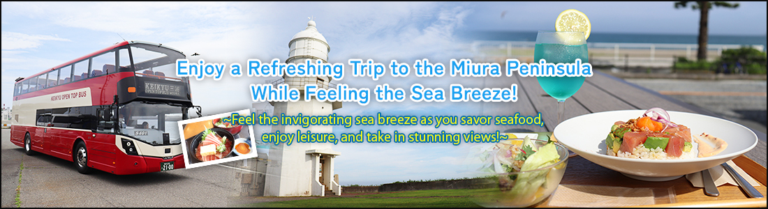 Header:Enjoy a Refreshing Trip to the Miura Peninsula While Feeling the Sea Breeze!