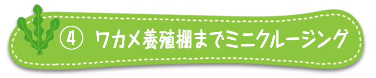 ワカメ養殖棚までミニクルージング