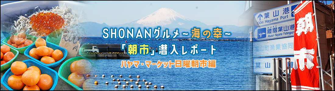 ヘッダsー画像:SHONANグルメ~海の幸~「朝市」潜入レポート