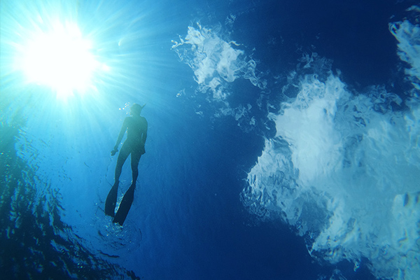 ダイビング中の人