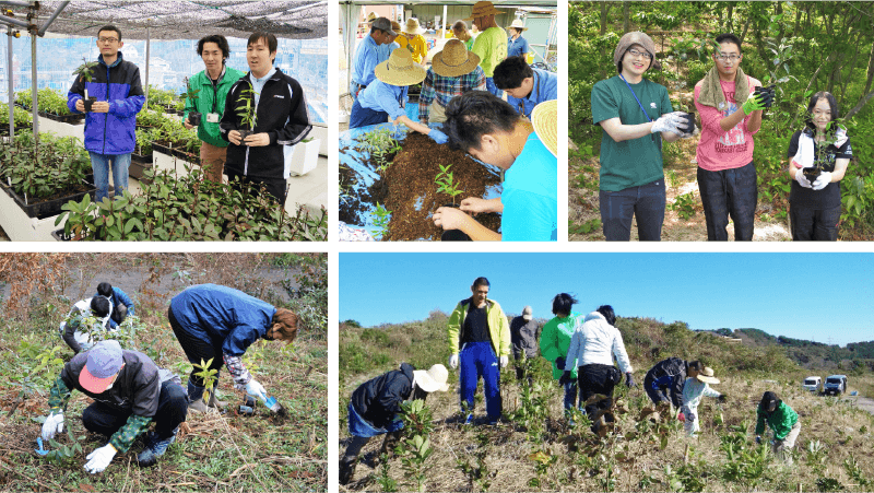 どんぐりブラザーズの活動　苗木の栽培・植樹・育樹（除草等の保全作業）