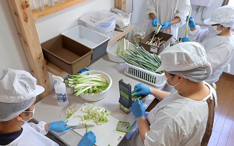 協力農家から寄せられた未利用野菜（大きさが不揃いなどで市場へ出せないもの）の処理をし、乾燥できるように刻む作業の様子。市内の福祉事業所の通所メンバーが定期的にラボに訪れ、作業に取り組んでいる。メンバーがそれぞれできる作業に合わせ、分担して加工。一つひとつの作業がとても丁寧で、集中して行っている。