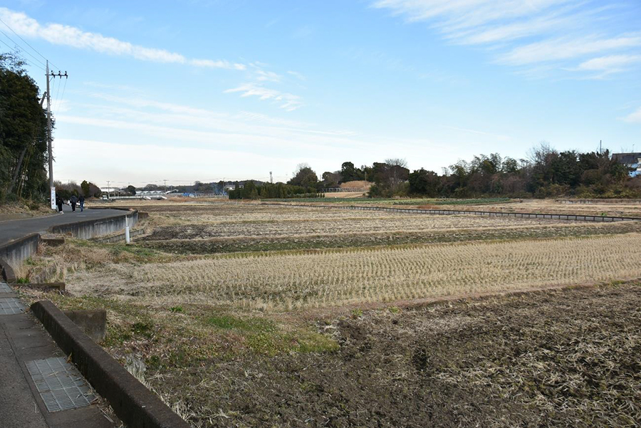 畑だけではなく、葡萄のほ場や水田もある広大な「かわうそ農園」。野菜づくり以外の作業を体験することもできます。