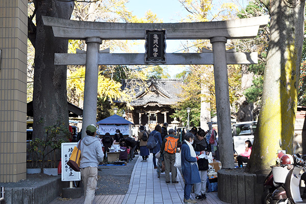 会場は亀岡八幡宮。境内には御神木の古木が複数あり、来場者を見守っている