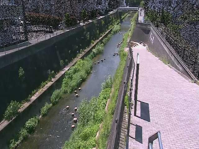 天宿橋付近 [Tenjuku Bridge] のカメラ画像