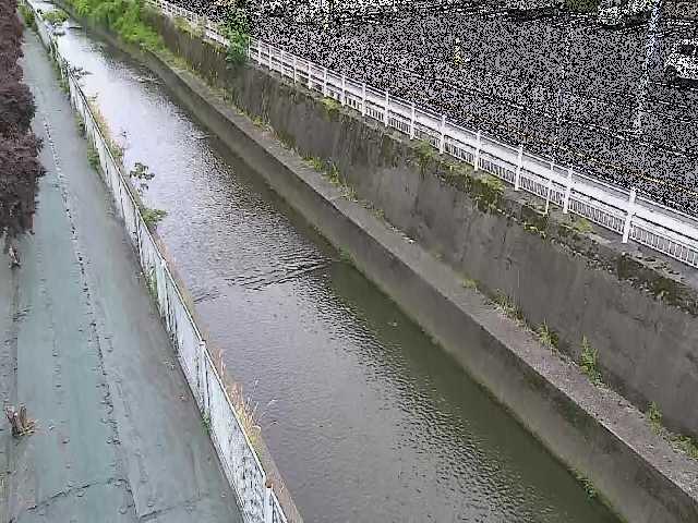 長尾橋付近 [Nagao Bridge] のカメラ画像