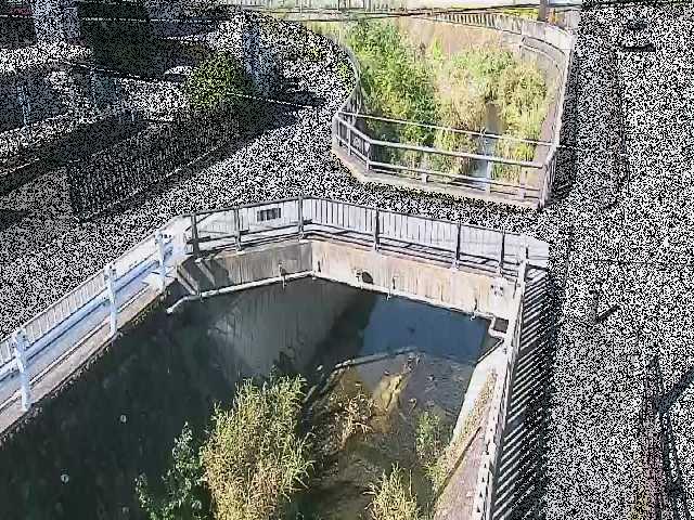 あゆみ橋付近 [Ayumi Bridge] のカメラ画像