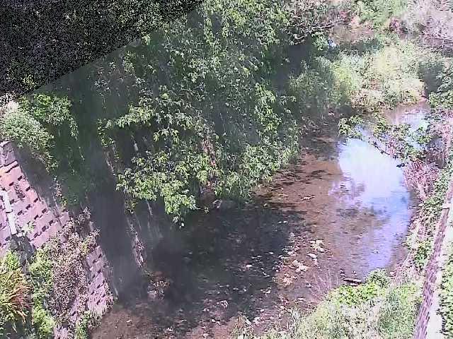 下小路橋付近 [Shimokoji Bridge] のカメラ画像