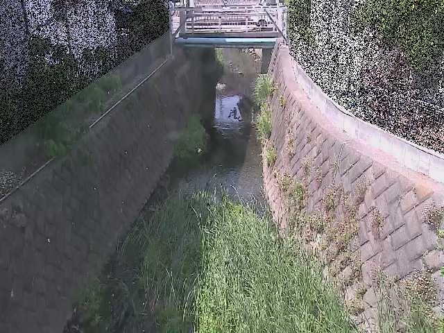 大津橋付近 [Otsu Bridge] のカメラ画像