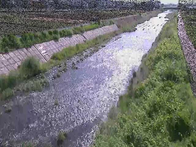 玉川橋付近 [Tamagawa Bridge] のカメラ画像