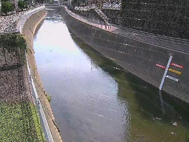 上土棚新橋付近 [Kamitsuchidana-Shimbashi Bridge] のカメラ画像