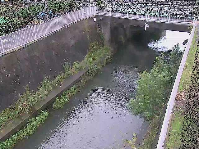吉野橋付近 [Yoshino Bridge] のカメラ画像