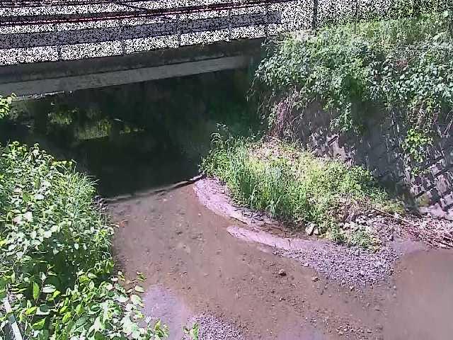 新下原橋付近 [Shin-Shitahara Bridge] のカメラ画像