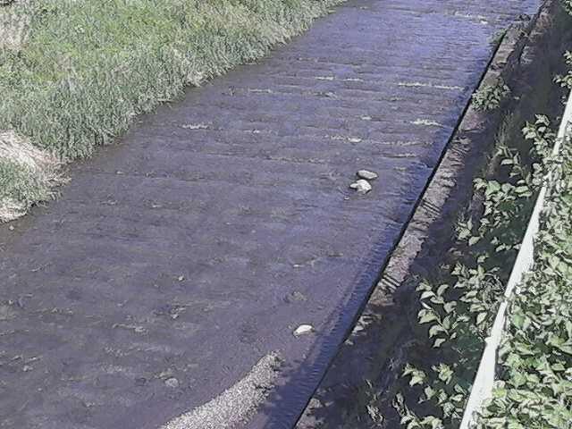 水上橋付近 [Minakami Bridge] のカメラ画像